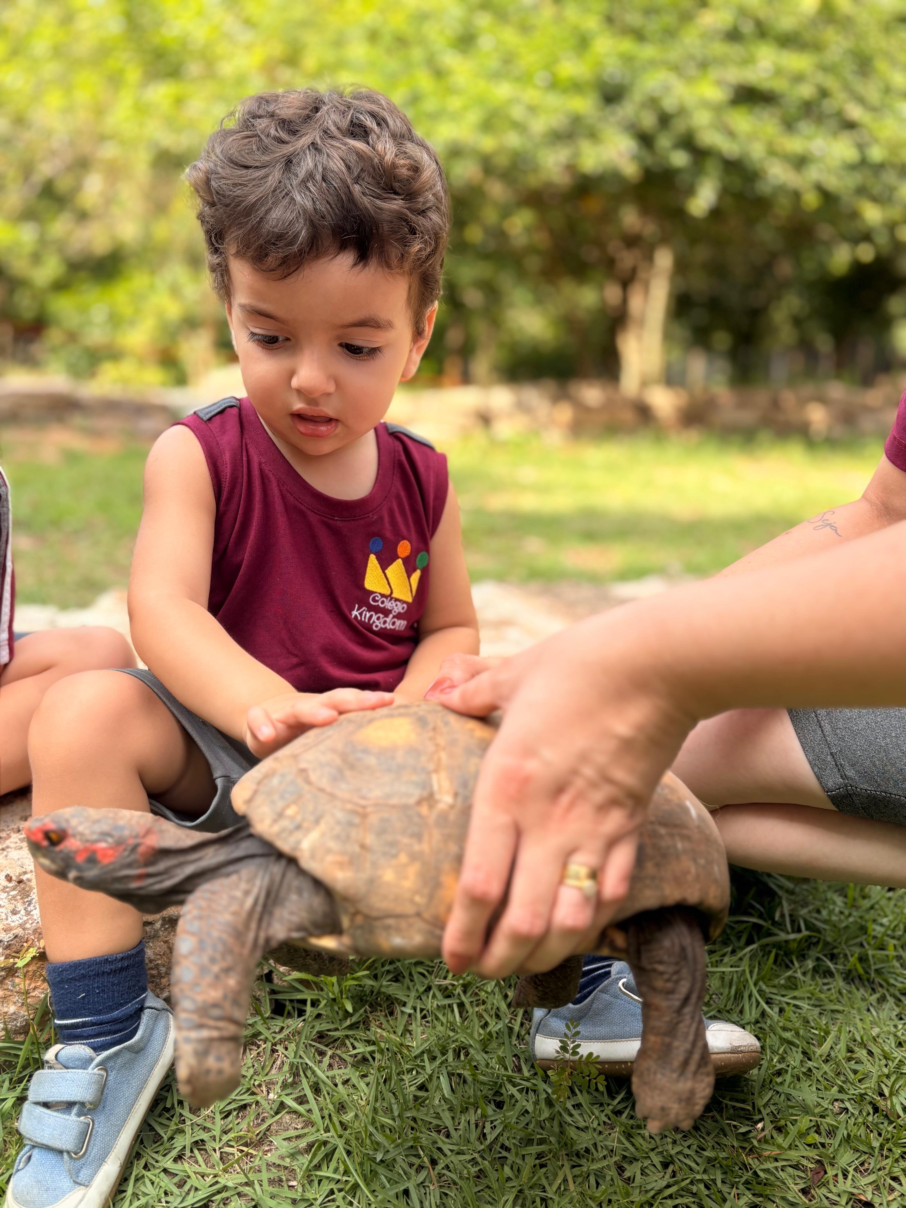 Educação Infantil